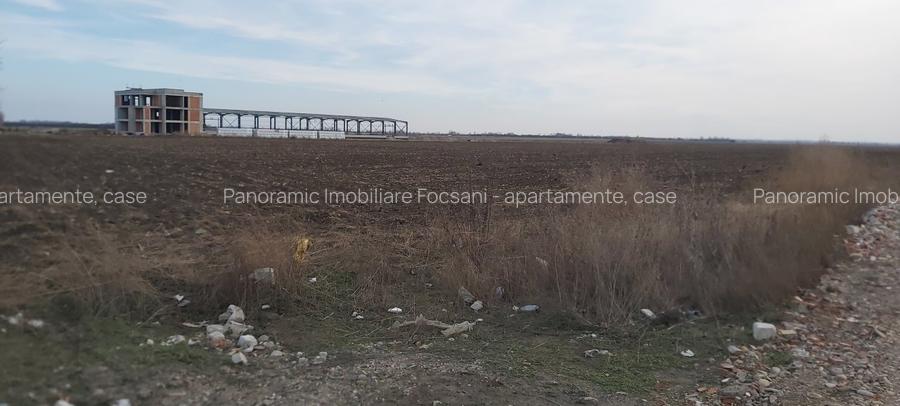 Terenuri intravilane de vanzare Focsani ,4,5 Ha Focsani - 6