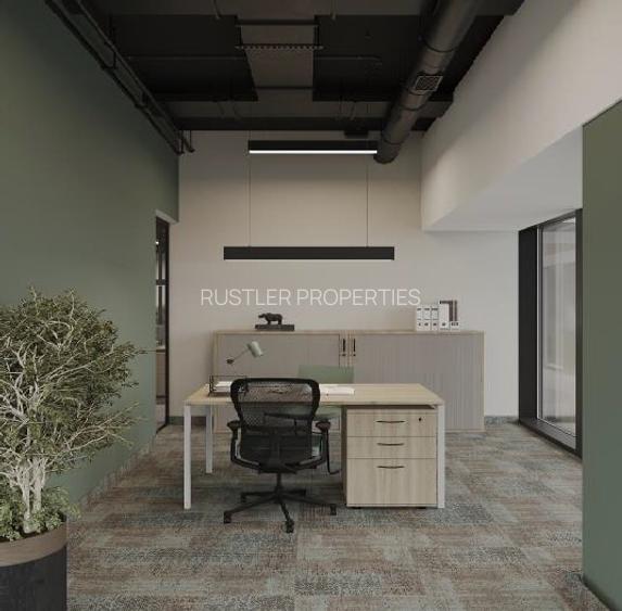 River Place & RiverView House – Birouri amenajate gata de inchiriere - 5