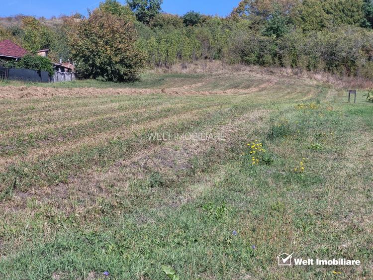 Teren de vanzare – Popesti Vale, 3600 mp - 3