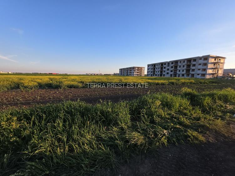 Lot intravilan ideal pozitionat in Tunari, Ilfov - 3