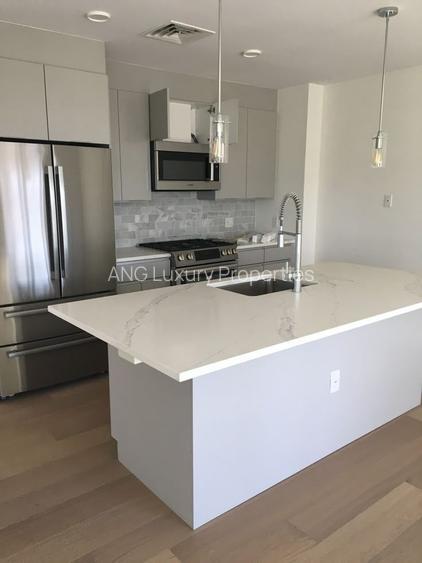 Apartament 4 camere  ultralux  Herastrau - 4