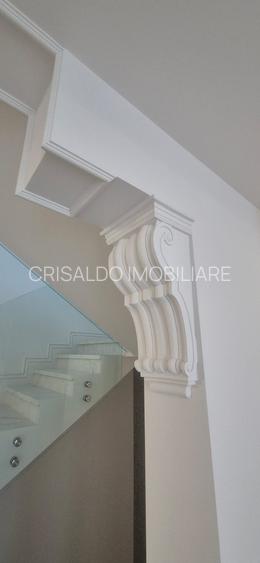 Proprietate deosebita Iancu Nicolae - 10