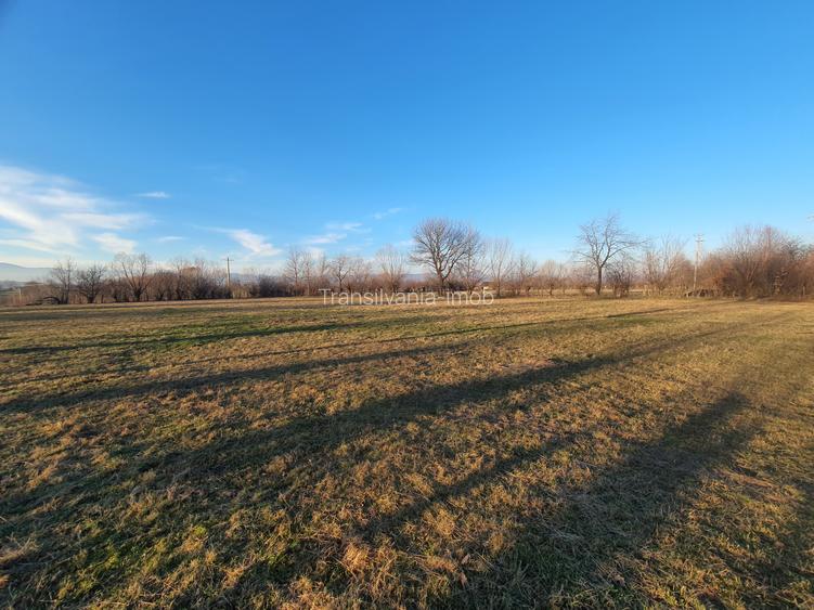 Teren intravilan Bran – Sohodol zona de case - 11