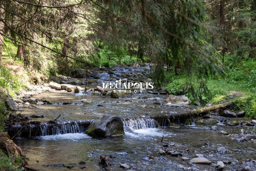 Pretabil Hotel,Pensiune,Case de Vacanta/Utilitati/PUZ - 5