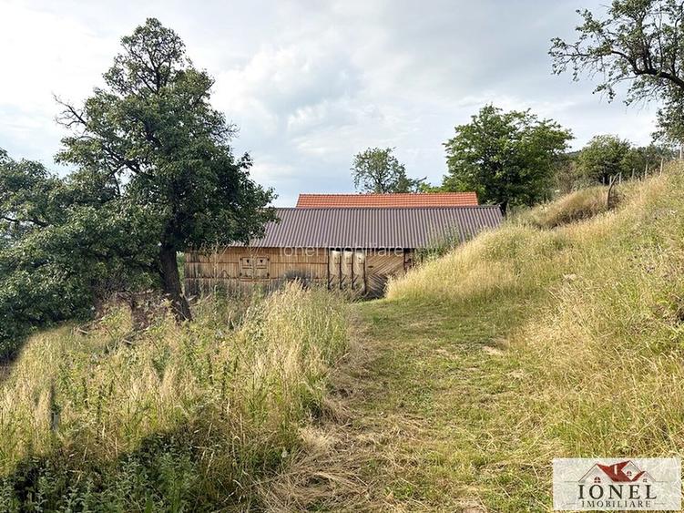 Casa de vanzare in comuna Sasciori cu 84.843 mp teren - 8