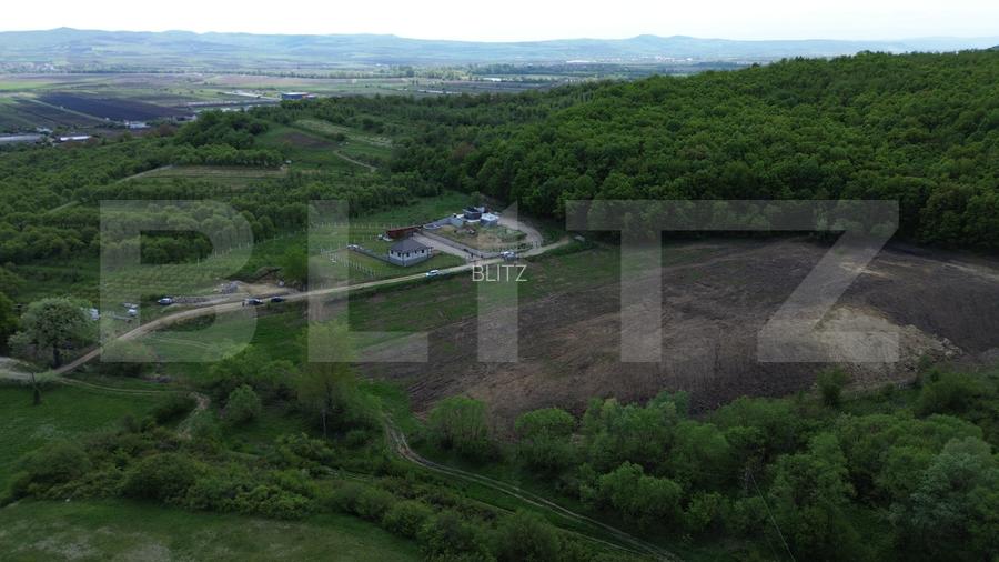 Teren 15.100 mp la baza pădurii – ideal parcelare | 14 loturi | priveliște super - 7