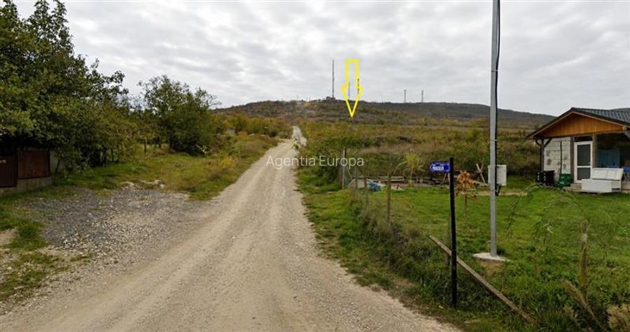 Teren de vanzare in Delta Dunarii - 3