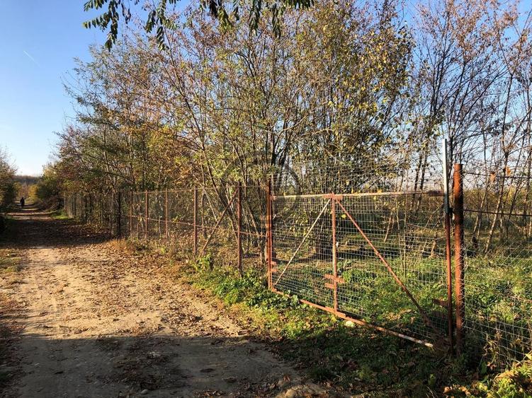 Teren intravilan de vanzare | 12.650 mp | Ghirdoveni | Comision 0%