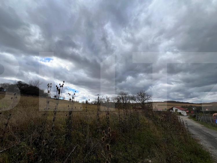 Teren de vanzare perfect pentru investitie in Babutiu