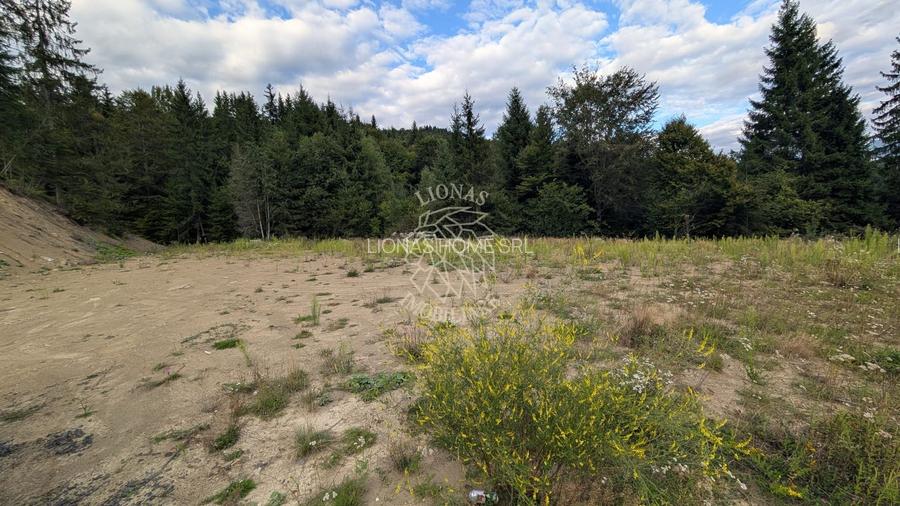 Parcele teren intravilan cu utilitati-panoramic-Colibita - 3