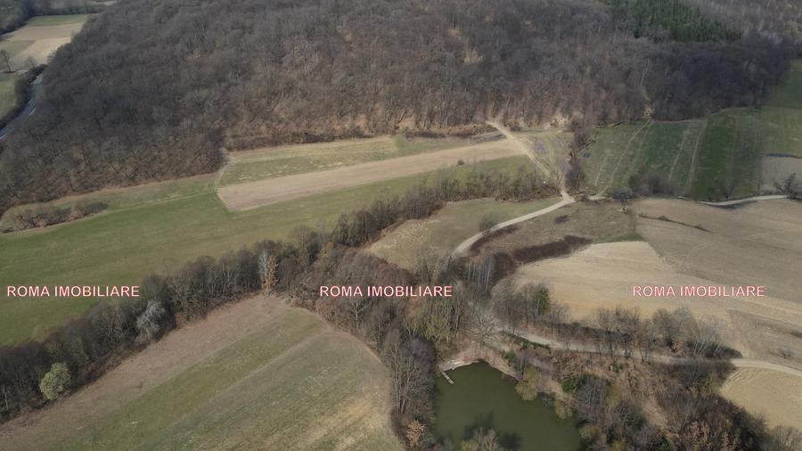 Teren superb de vânzare în Dumbrăvița – 3.750 mp