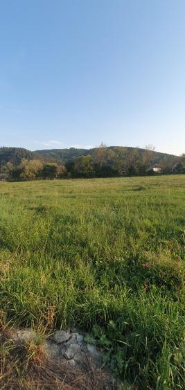 5200 sau 2600 mp teren vanzare,direct proprietar, parcelabil, apropiere Arinis