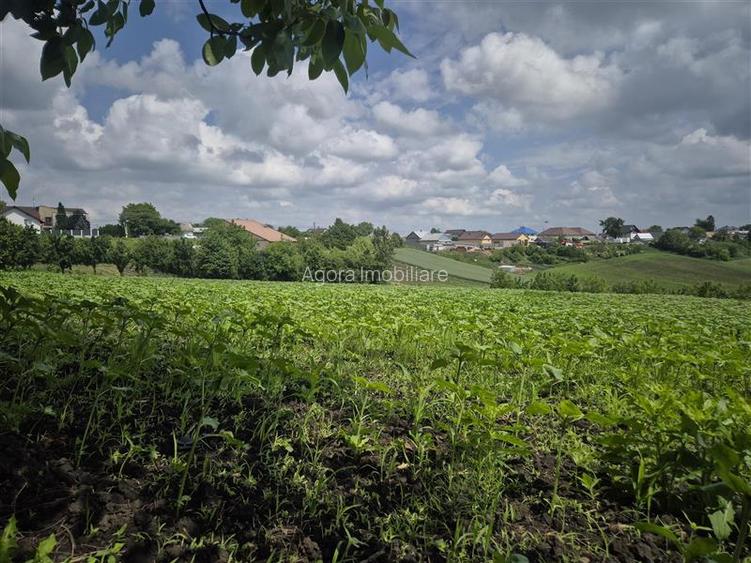 Teren intravilan Moara Nica - zona Scolii - 8