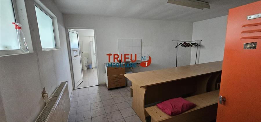 Hală industrială de închiriat în Sebeș depozitare sau