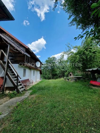 Balilesti - Stradal, casa spatioasa, 4600 mp teren intravilan - curte spatioasa - 7