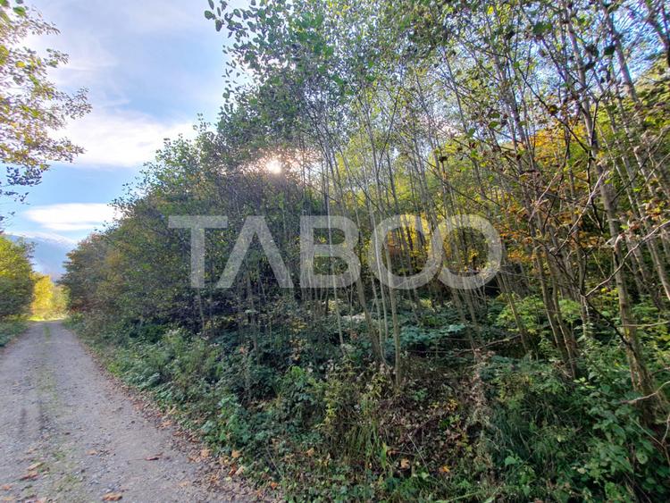 Teren in suprafata de 2990 mp cu vedere la munte zona turistica Lisa