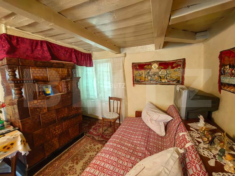 Casă bătrânească cu bucătărie de vară, 100 mp, teren 3.000 mp, zona Raducaneni - 11