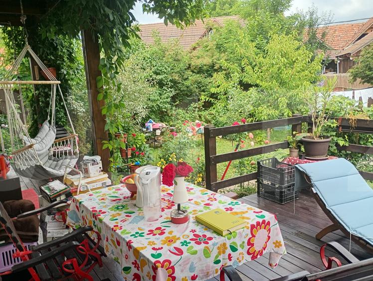 Casa familiala, zona linistita, Sfantu Gheorghe - 12