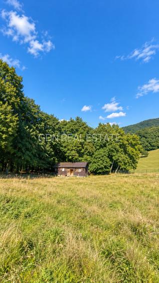 Vânzare teren extravilan pădure+ Pășune 17 000 mp Covasna - 2