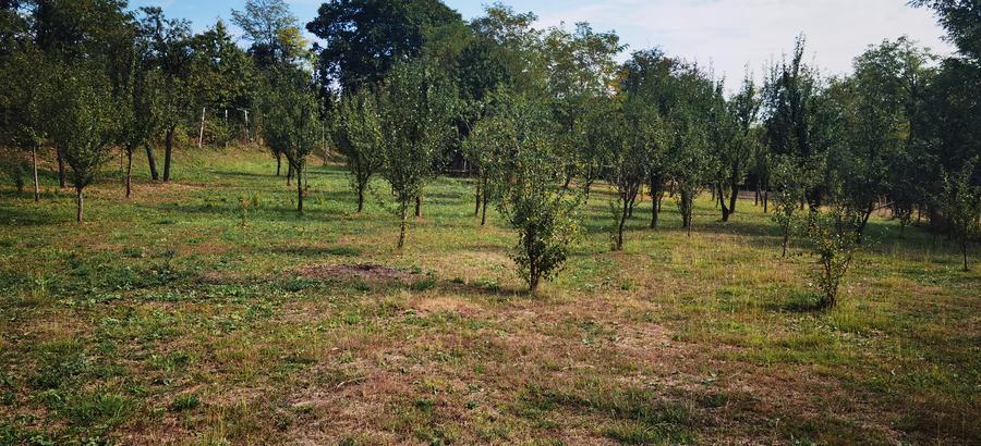 Loturi de teren in Cornu de Jos , Cornu lui Nastase