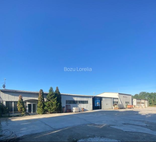 Hala cu dotari, afacere cu clienti, birouri-vestiare, teren, E60, langa Oradea - 4