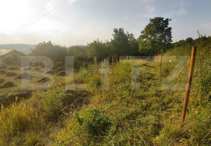 Teren intravilan de 15 ari – Valea Jelnei, str. Câmpului - 2