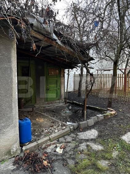 Apartament 1 cameră | Zonă centrală | Demisol înalt | Curte