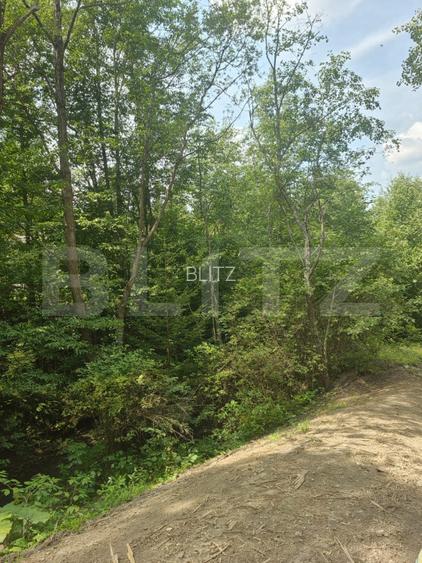 Teren extravilan, 15621 mp, zona Șandru-Campulung Moldovenesc - 7