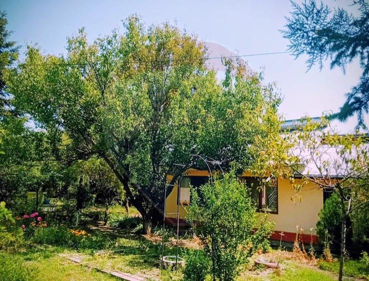Casă P+M + cladire anexă + teren 1129 mp