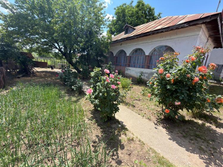 Casă renovabilă de vânzare, 96mp, teren 1110 mp, Balș