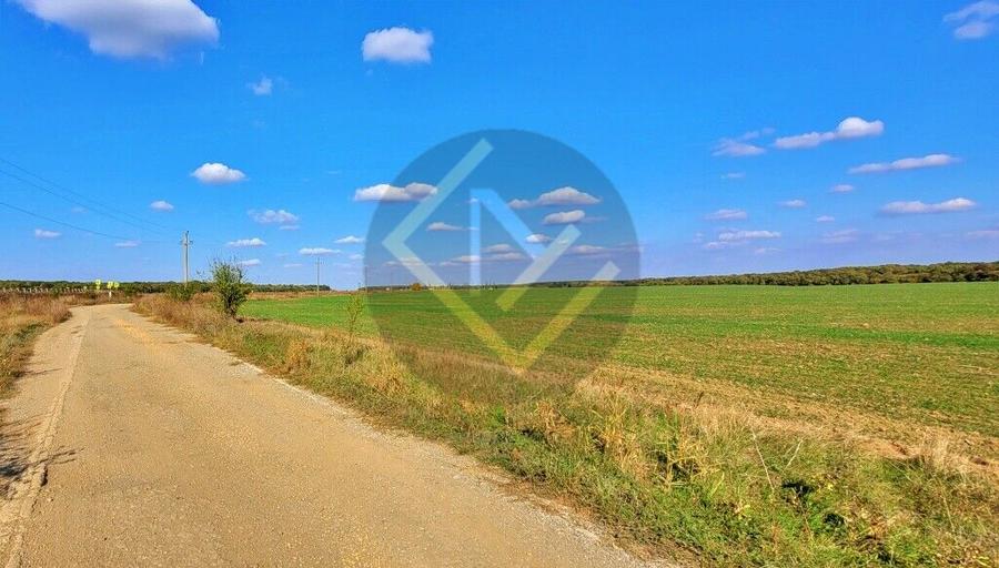 Teren 9Ha -> 16Ha Ha Intravilan , Exit A3 Snagov Ghermanesti Bucuresti-Ploiesti