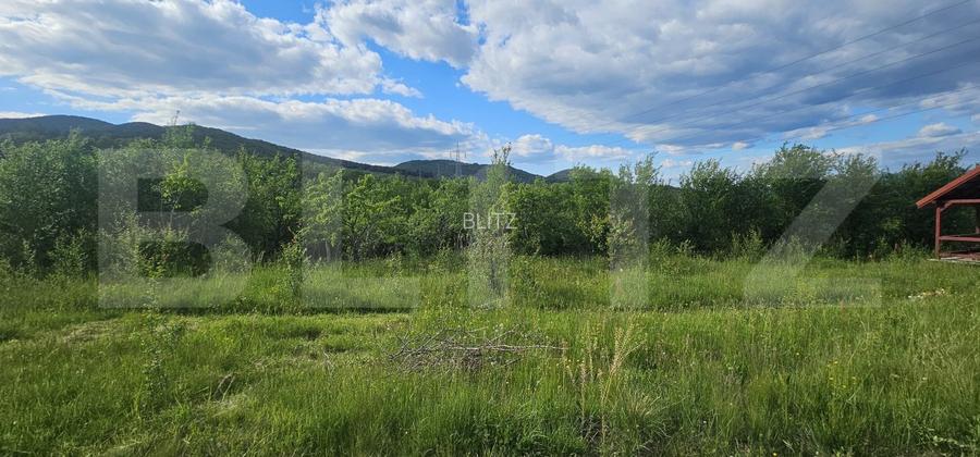 Teren cu priveliște panoramică, de vanzare, 1281 mp, zona Caprioara - 2