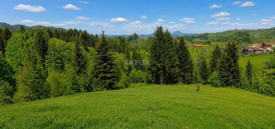 Bran Mountain Retreat – Doar 3 vile exclusiviste în inima Branului - 5