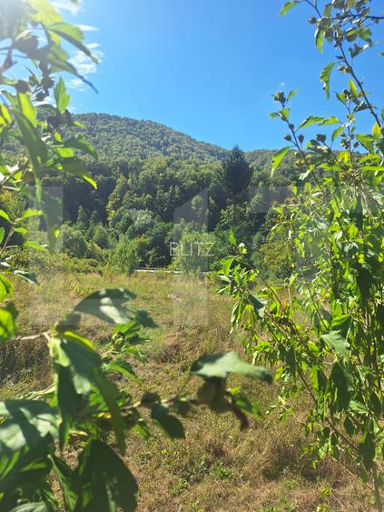 Teren de vanzare, 4847 mp, cabana, zona Nadrag - 5