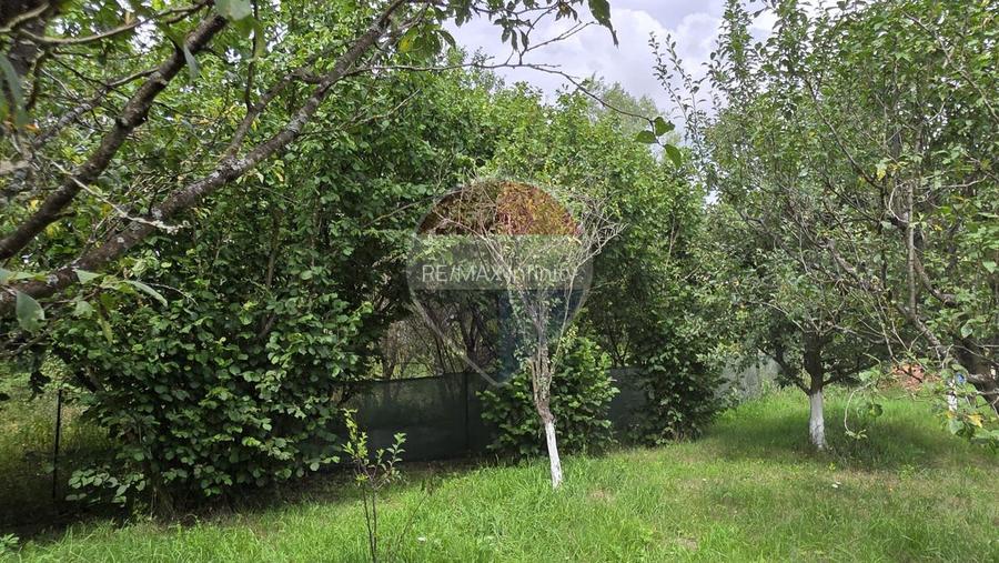 Casă cu teren generos de 2.800 mp la 38 km în satul Elciu - 14