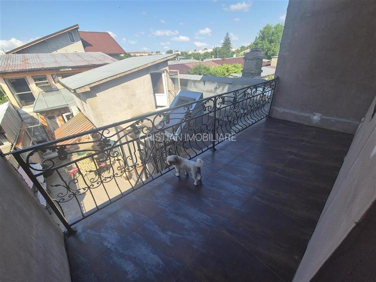 Vila, P+M Brailita, 3 camere, teren 271 mp, mobilata si utilata - 9