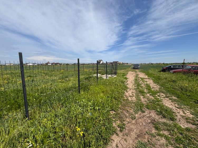 Lot 550 mp, Malinului