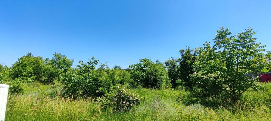 Lot pentru două case – Corbeanca Tamași