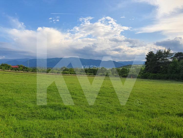 Teren intravilan, 1450 mp de vânzare în Cisnadie, zona Soma -Investiție ideală! - 3