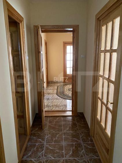 Vila 7 camere, 750mp-teren, BAILE HERCULANE - 14
