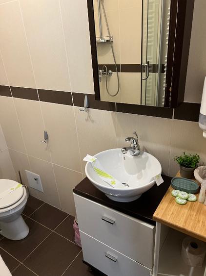 Apartament de vacanță pârtia CLĂBUCET