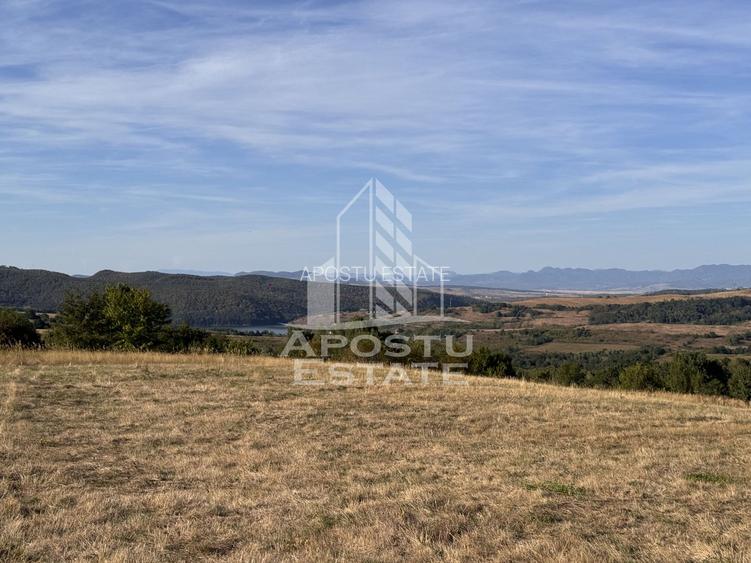 Teren de 50.000mp, priveliste panoramica spre munte si lac, Hunedoara - 8