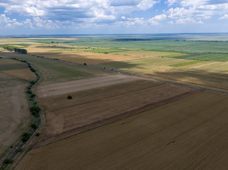 Vând teren agricol la șosea de 30.000mp în Iazurile comuna Valea Nucarilor