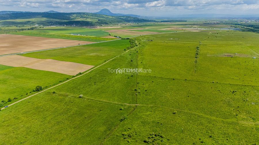 Teren de investiție în zona Tohanul Nou - Bran  5.800 mp - 17
