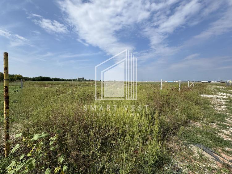 Teren 1000 mp | Zona Balta Blonda