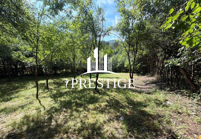 TEREN INTRAVILAN 1013 MP | UTILITĂȚI LA STRADĂ | ZONA PIATRA BROAȘTEI - 3