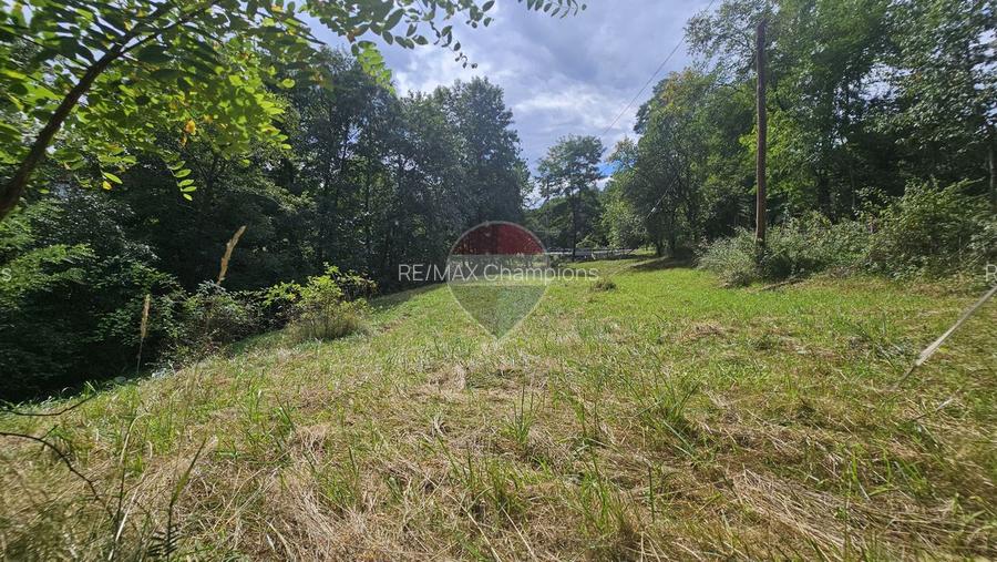 Casă individuală | 4 camere | Teren 4840 mp | Sohodol | Bran - 21