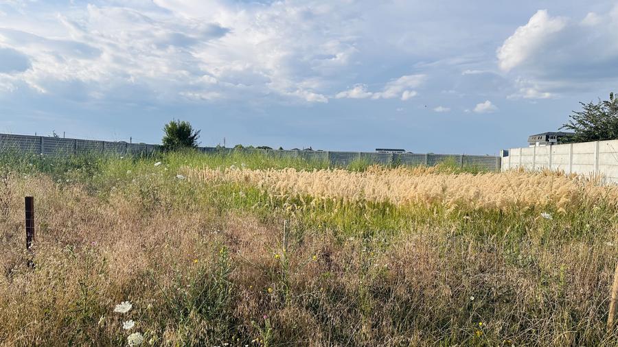 Teren intravilan 600 mp, zona Luceafarului-Stelelor, imprejmuit, Chiajna