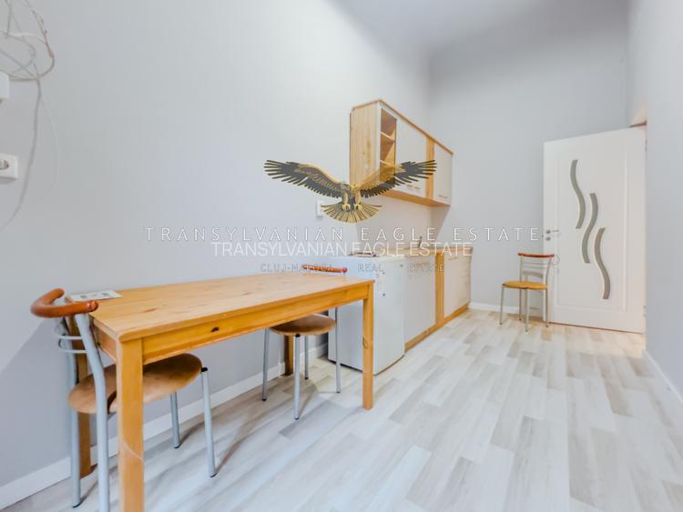 Apartament/Spatiu de birou situat pe strada Horea|ultracentrala - 7
