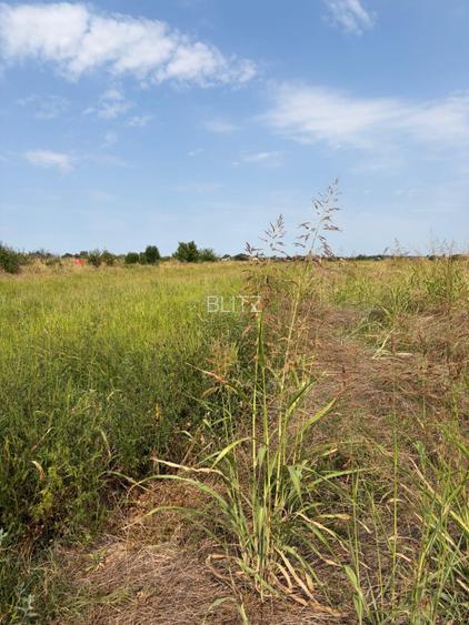 Teren intravilan, 4.508 mp, dublă deschidere, zona Malu Mare - 2
